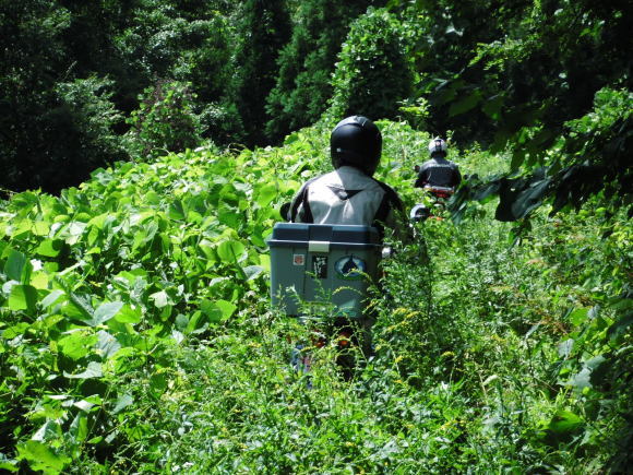 夏休み最終日・・最上郡金山町へ癒されに！_c0325468_19370821.jpg