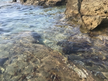 23.40ユーロの娯楽な1日_a0136671_01380534.jpeg