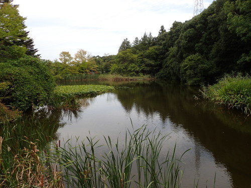 f0348480_20322820.jpg