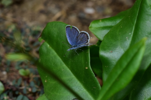 f0348480_21015864.jpg