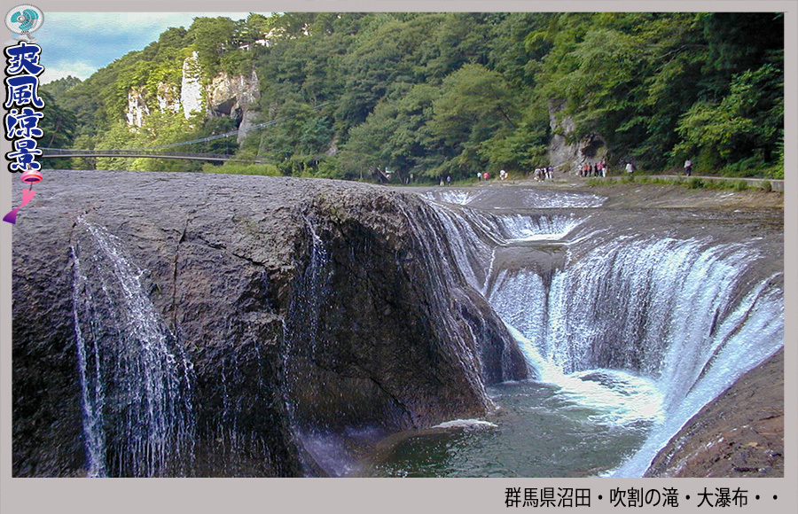 c0009981_16431112.jpg