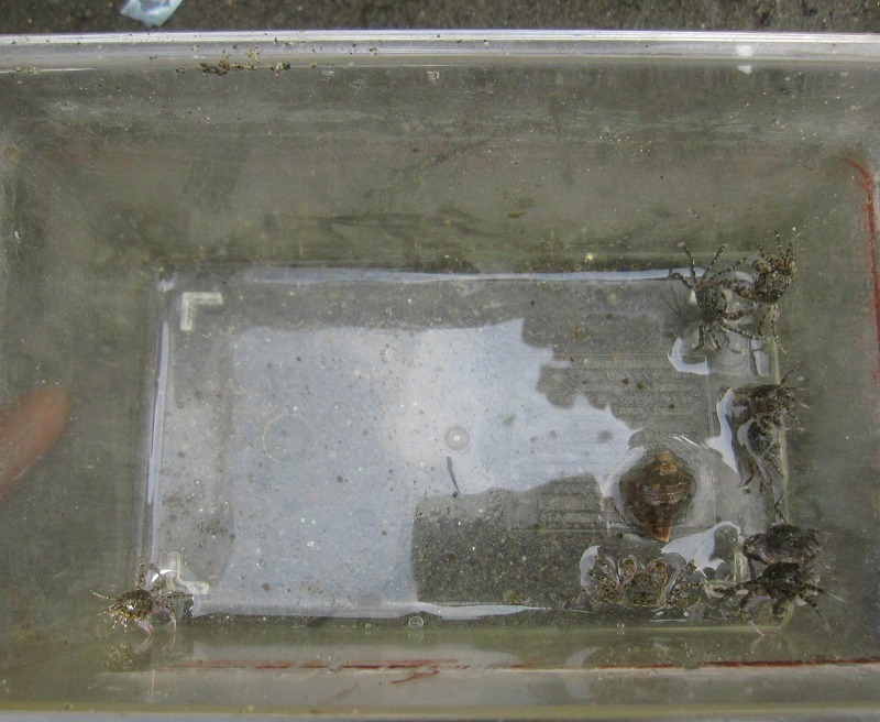 e0374581_00083343.jpg