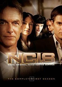 アビーが可愛すぎてつらい Ncis ネイビー犯罪捜査班 How To Be Happy Without Really Trying 努力しないで幸せになる方法