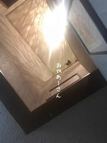 a0216583_18301720.png