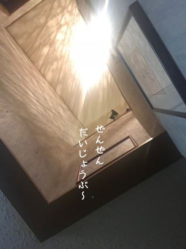 a0216583_18302465.png