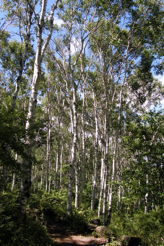 c0057390_22074830.jpg
