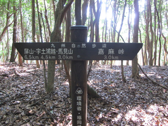 a0166196_18434020.jpg