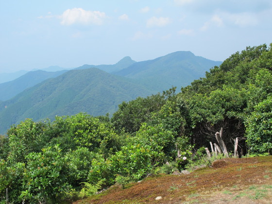 a0166196_184708.jpg