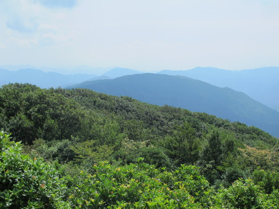 a0166196_18473717.jpg