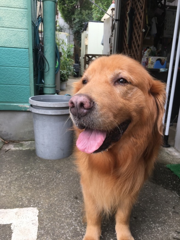 b0275998_18582830.jpeg