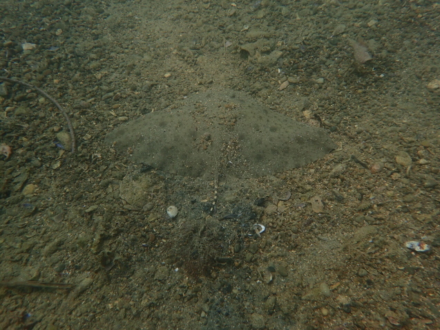 e0115199_14291023.jpg