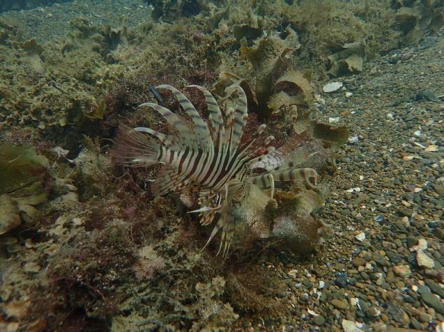 e0115199_14293990.jpg