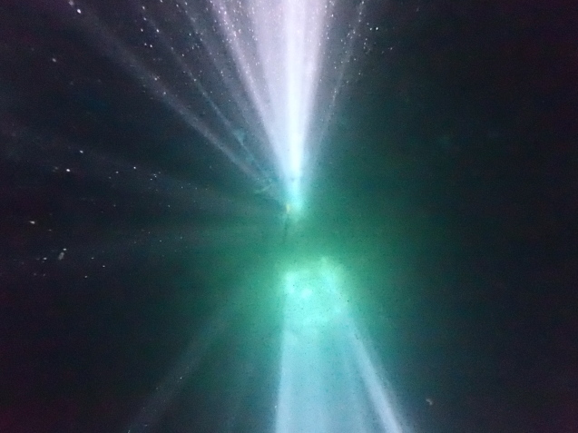 e0115199_14371253.jpg