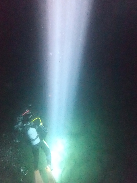 e0115199_14372293.jpg