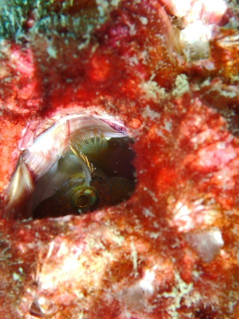 e0115199_14463880.jpg