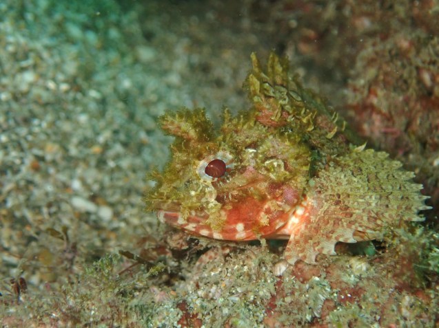 e0115199_14542492.jpg