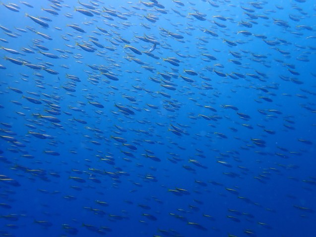 e0115199_15162877.jpg