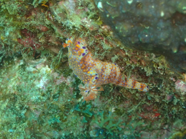 e0115199_15180866.jpg