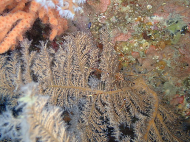 e0115199_17232339.jpg