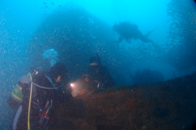 e0115199_18470413.jpg