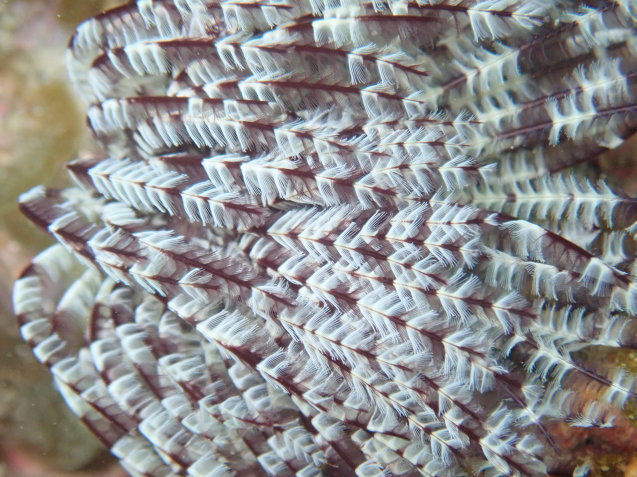e0115199_18494652.jpg