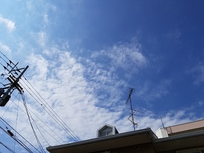 d0040901_21551139.jpg