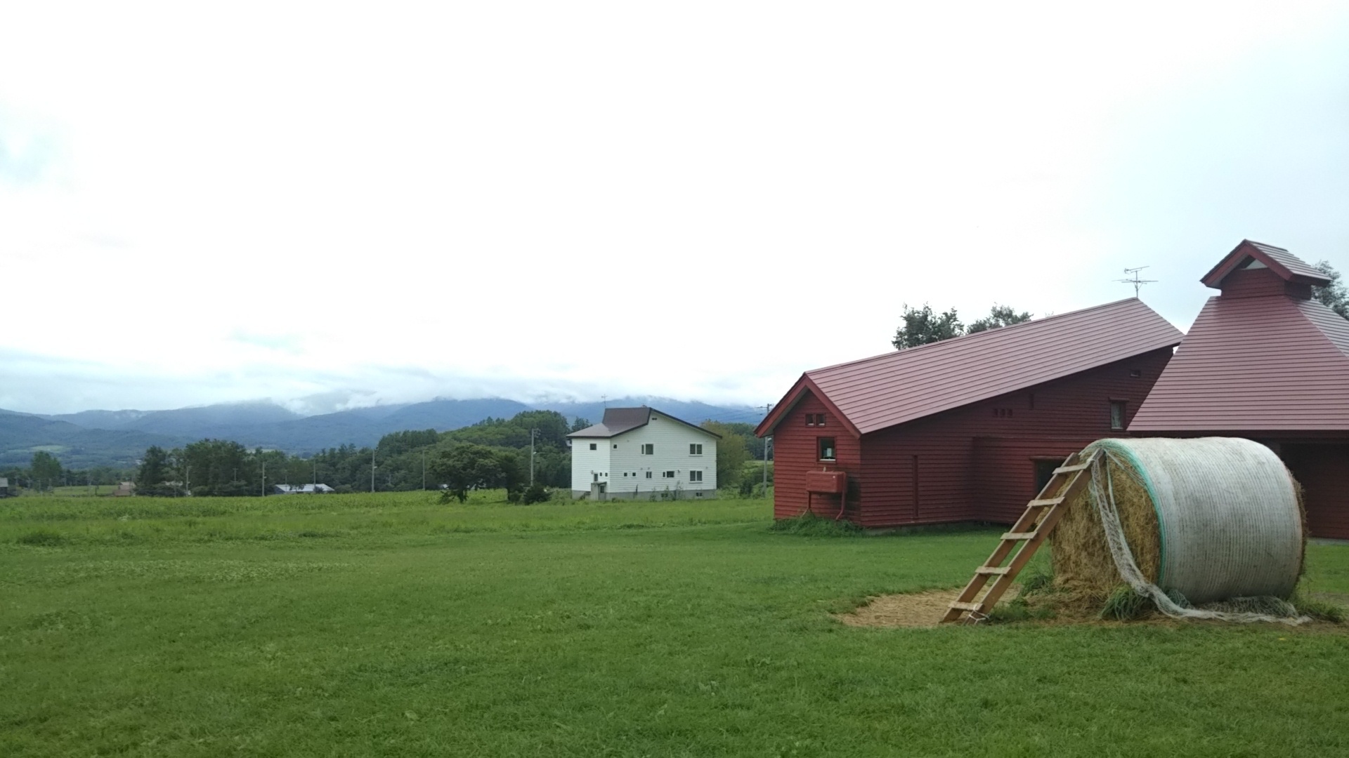 e0361702_10381916.jpg