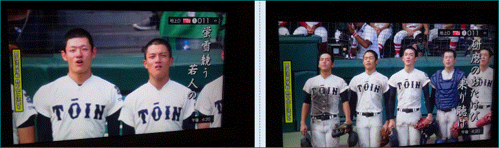 f0231709_22453442.gif