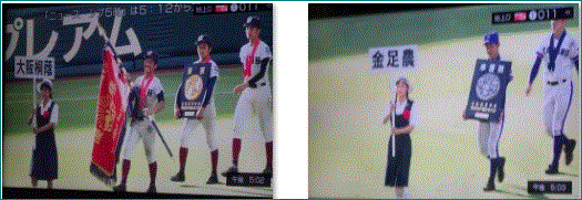 f0231709_22593250.gif