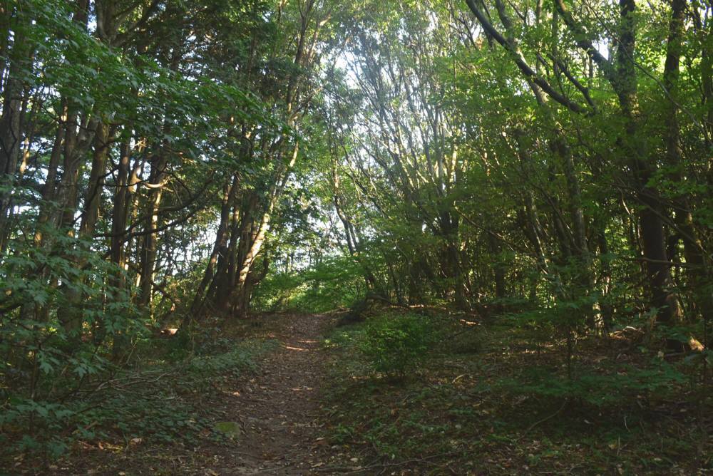 f0212511_20543274.jpg