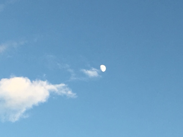 そろそろ夏の思い出 NO.597_c0102513_18270108.jpeg