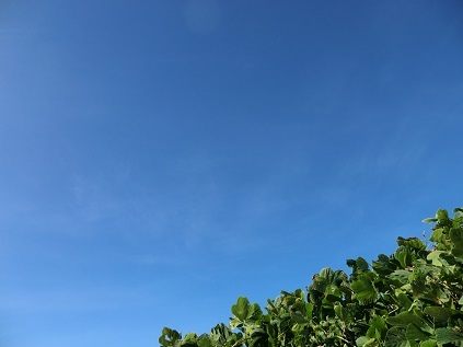 f0371014_21030378.jpg