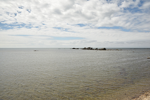 海辺の翌朝そして走る2018.08.10_b0259218_02401463.jpg