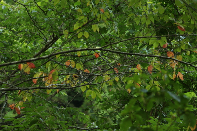 b0258821_23205023.jpg