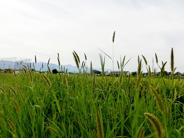 e0234924_06320150.jpg