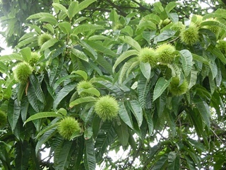 e0234924_06374915.jpg