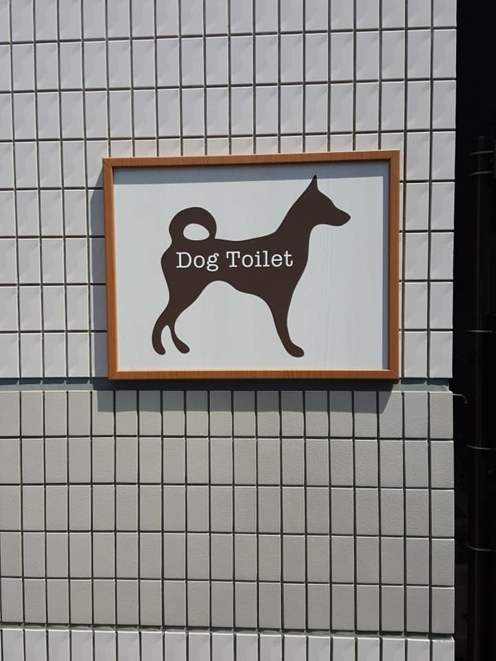 d0269832_11082948.jpeg