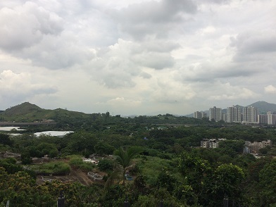 f0371533_21543488.jpg