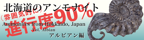 思い出の18年北のプー生活（31）…クリーニング編(3)_c0062934_14495830.png