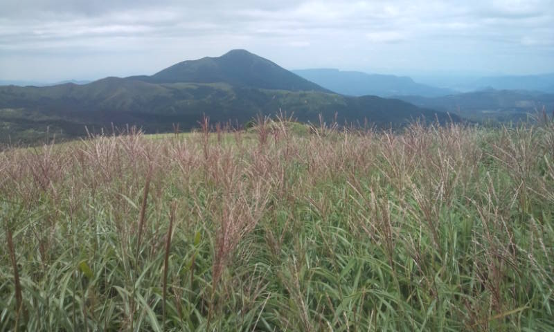 e0272335_10132474.jpg