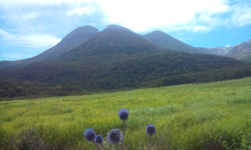 e0272335_965336.jpg