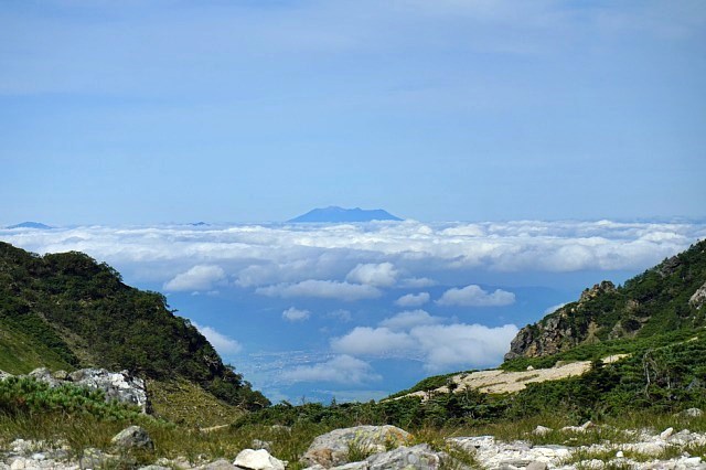 b0122448_20163580.jpg