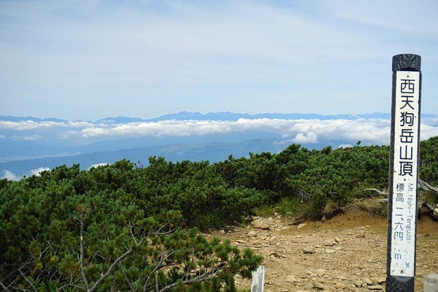 b0122448_20215123.jpg
