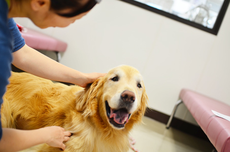 ショック状態緊急入院4日目　退院_f0044853_12051035.jpg