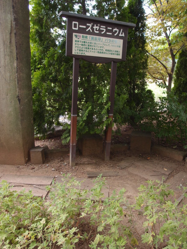 b0162357_13282481.jpg