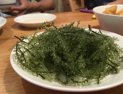 a0295764_15270966.jpeg
