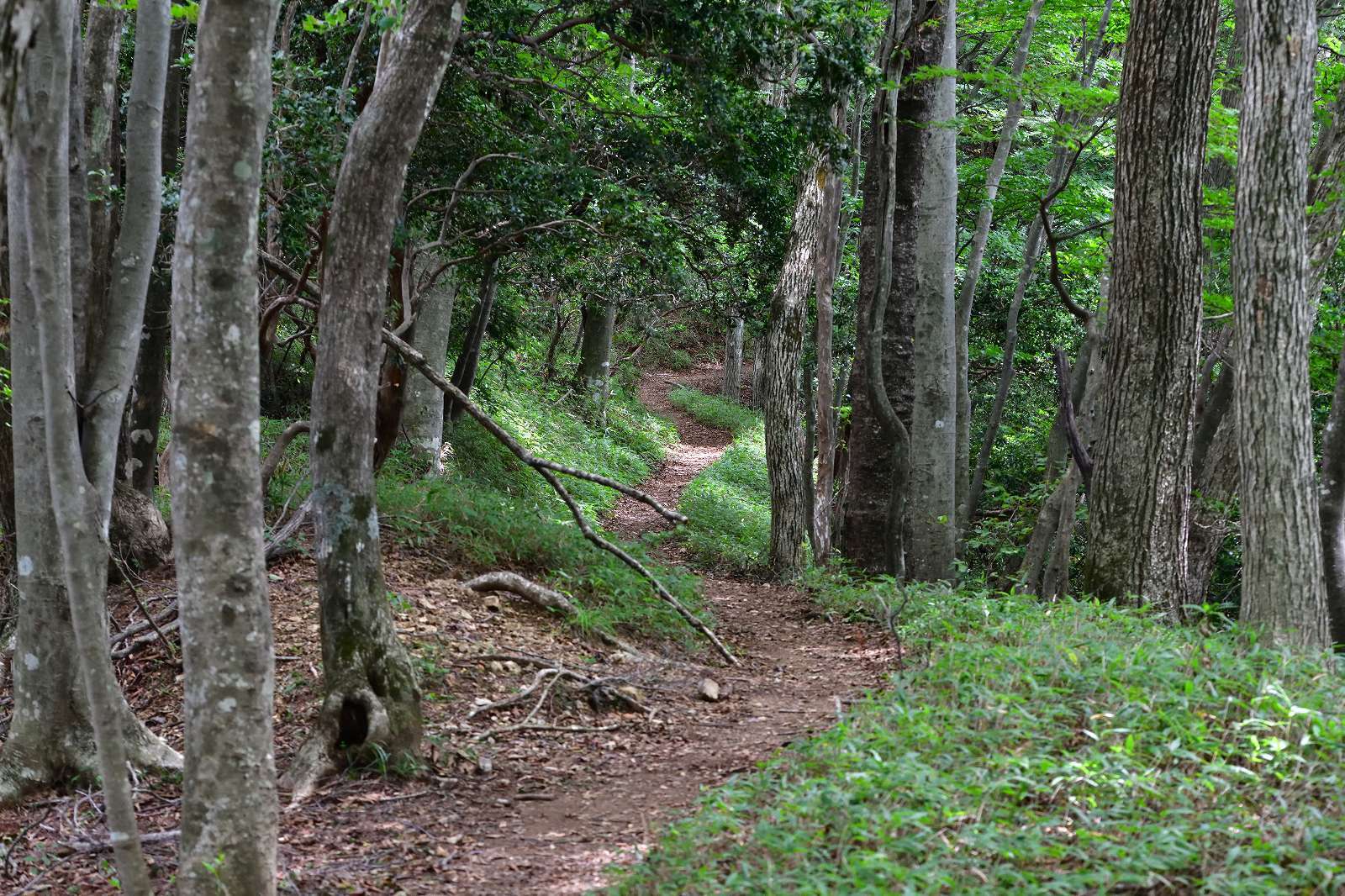 d0328977_09214415.jpg