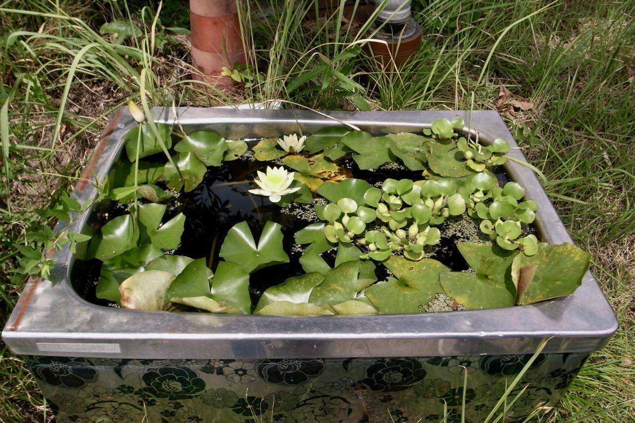 f0124378_22322359.jpg