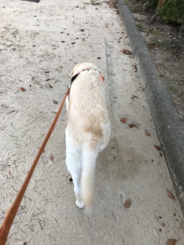 f0315081_21353726.jpeg