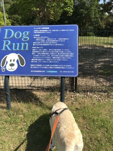 f0315081_21413299.jpeg